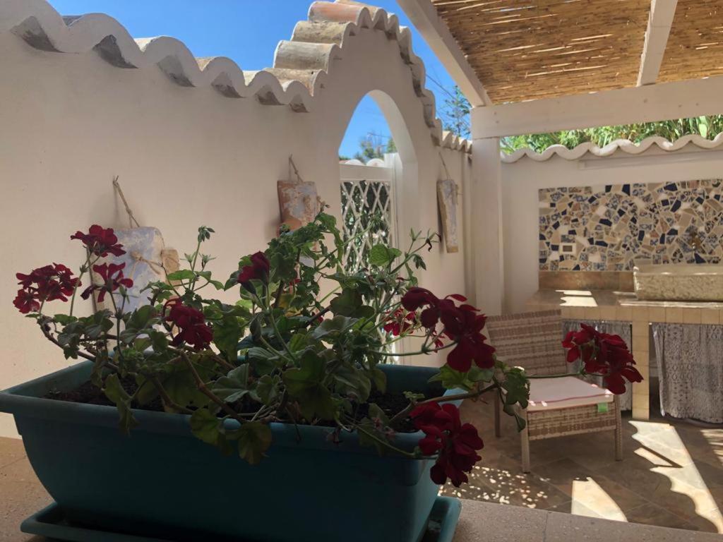 Cala Marina Holidays Villa Trappeto  Kültér fotó